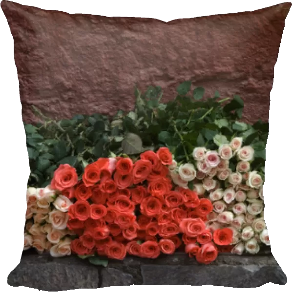 Mexico, San Miguel de Allende, Roses for sale on street