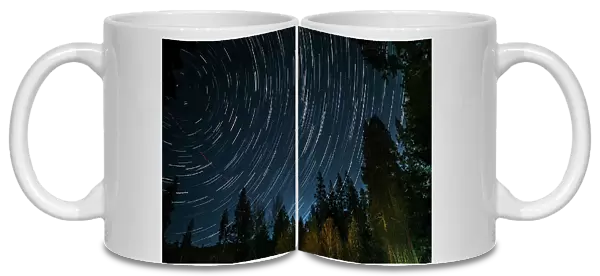 Time lapse photograph showing star trails above the forest near Lake Tahoe, CA