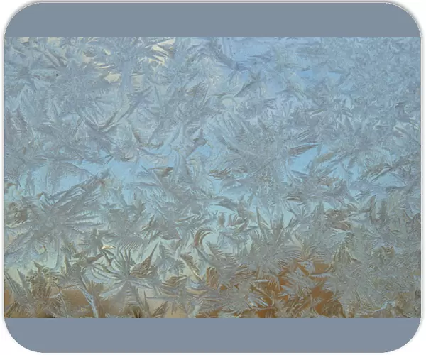 USA, Colorado. Frost on window pane. Credit as: Cathy & Gordon Illg  /  Jaynes Gallery