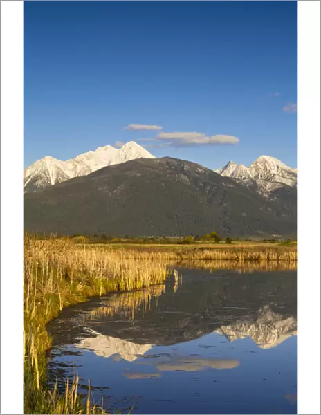Wetlands pond reflects Mission Mountain Range at Ninepipe WMA near Ronan, Montana, USA