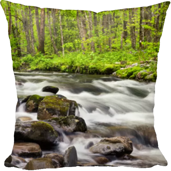 USA, North Carolina, Great Smoky Mountains National Park, Panoramic view of water