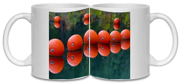 USA, Oregon. Orange buoys form dam on Rogue River
