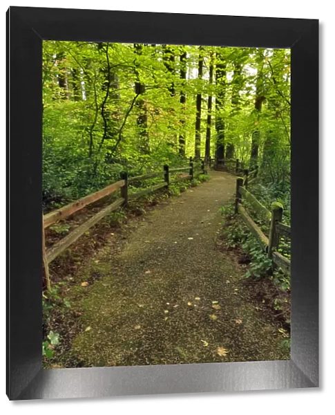 USA, Oregon, Portland. Trail to historic site of The Willamette Stone. Credit as