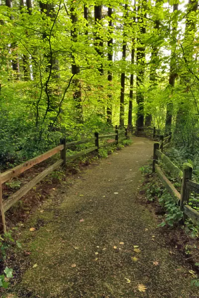 USA, Oregon, Portland. Trail to historic site of The Willamette Stone. Credit as