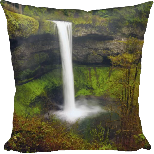 South Falls in Spring: Silver Falls State Park, Oregon, USA