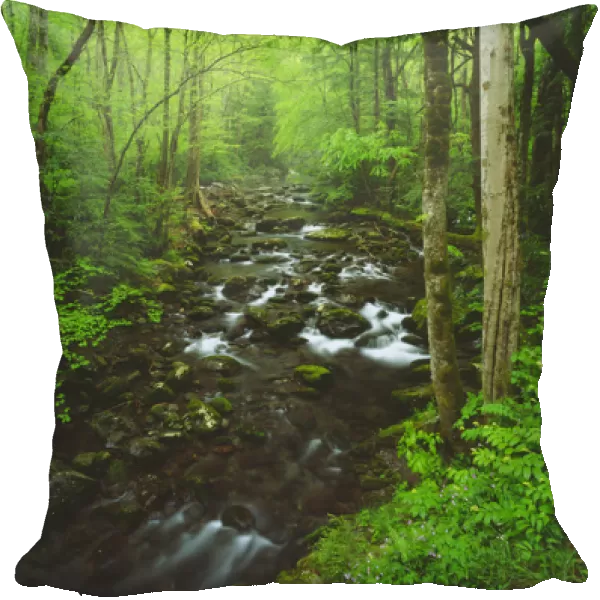 USA; Tennessee; A moss covered stream in The Great Smoky Mountains