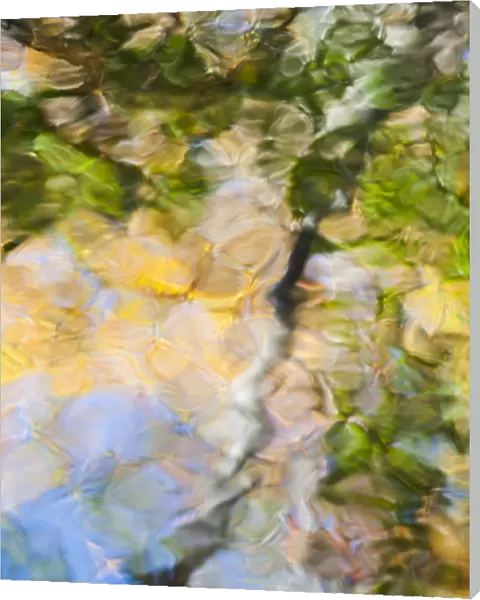 Fall colors reflect in the rippled waters of a pond, looking like a painting