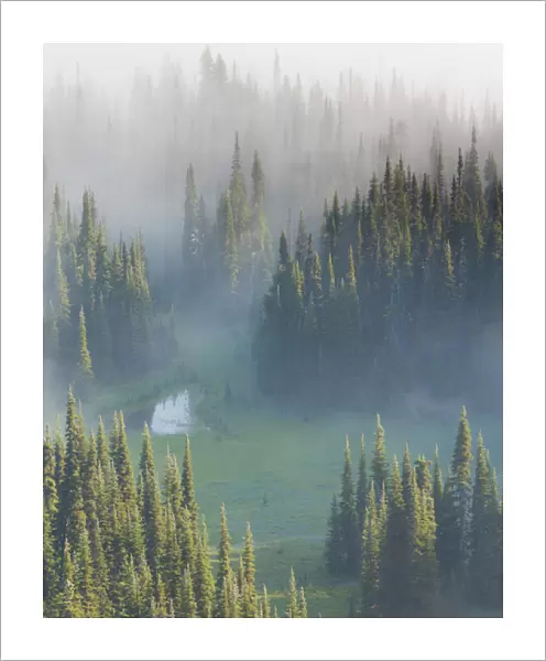 USA, Washington, Mount Rainier National Park. Overview of Surprise Lake. Credit as
