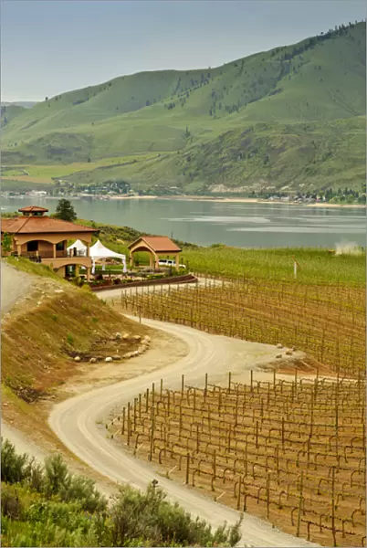 USA, Washington, Lake Chelan. Benson Vineyards Estate Winery is the only 100% estate