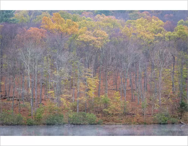 USA, West Virginia, Delaware Watergap Recreational Area. Lake and forest in autumn