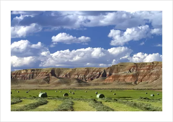 Red rock cliffs and newly harvested alfalfa hay near Dubois, Wyoming, USA