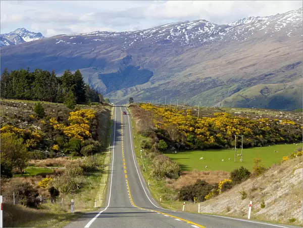 New Zealand, South Island, scenic highway