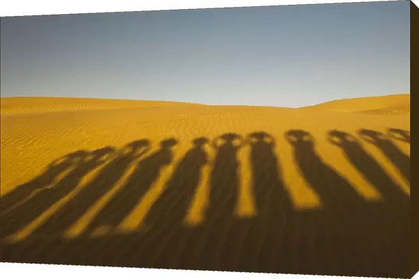 Shadows of waterbearers, Thar Desert, India