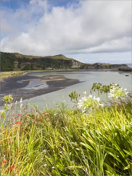 New Zealand, North Island, Mokau, Mokau harbor landscape