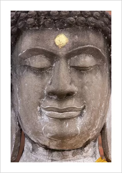 Statue face at the Ayutthaya Historical Park, Thailand