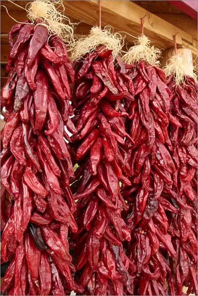 Hatch, New Mexico, United States. Red chiles hang out to dry