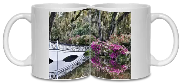 United States, North Carolina, Magnolia Plantation, White Bridge with Azaleas