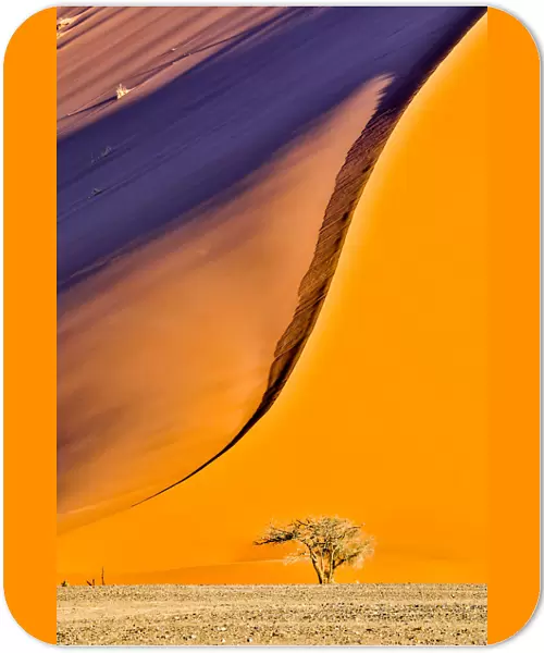 Africa, Namibia, Sossusvlei Dune in the Afternoon Light