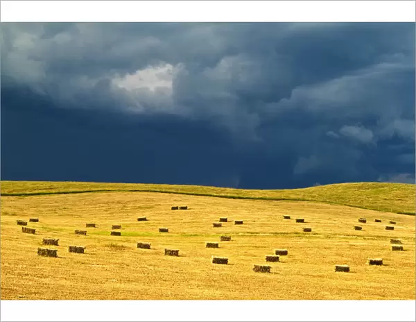 Canada, Manitoba, Holland. Square bales in field and storm clouds