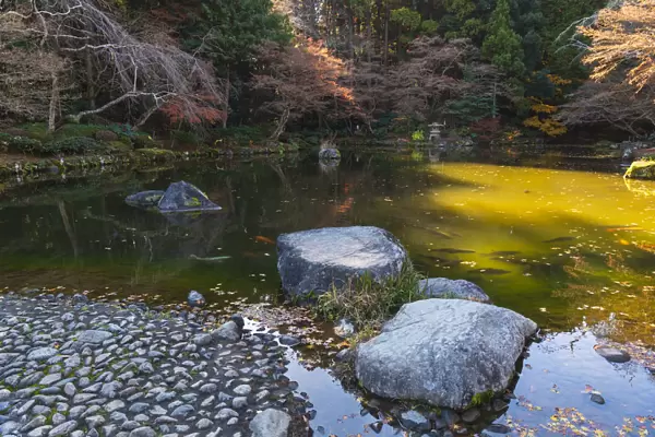 Rock path in the lake filled with koi fish in the Narita Temple Gardens