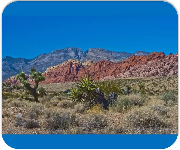 USA, Nevada, Las Vegas, Red Rock National Conservation Area, Calico Hills North