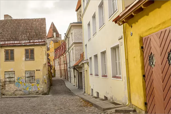 Baltic States, Estonia, Tallinn. Cobblestone street in the old city