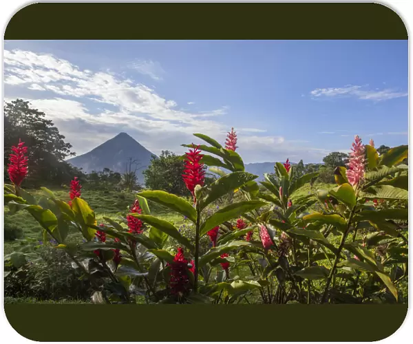 Arenal Volcano in Costa Rica with tropical flowers