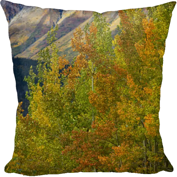 Richardson Highway, Alaska, autumn color, birch, aspens, mountains, Permafrost