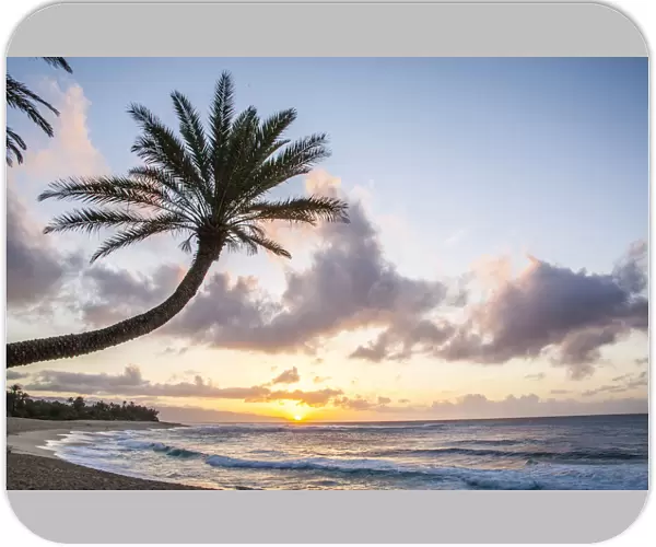 USA, Hawaii, Oahu, North Shore at sunset and palm tree