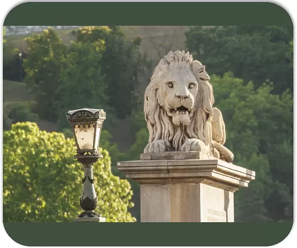 Hungary, Budapest. Lion sculpture on the Szechenyi Chain Bridge