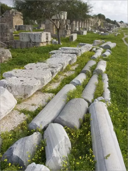Marble columns lying on the ground in the hippodrome, Tyre, Lebanon