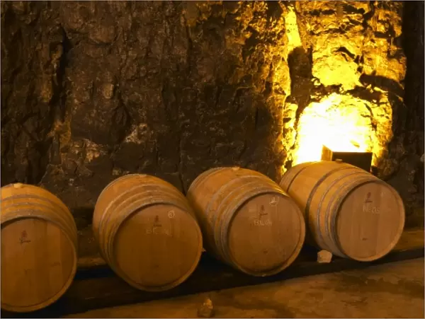 Wooden barrels for fermenting and aging white wine. Chateau Romanin, Saint Remy de Provence