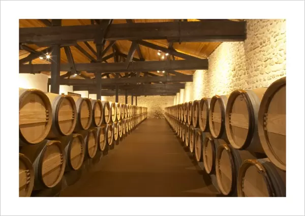 The barrel ageing cellar with rows of oak barriques Chateau Potensac Cru Bourgeois