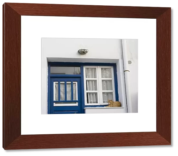 Greece, Mykonos. Orange tabby cat rests on ledge next to blue door and white window and curtains