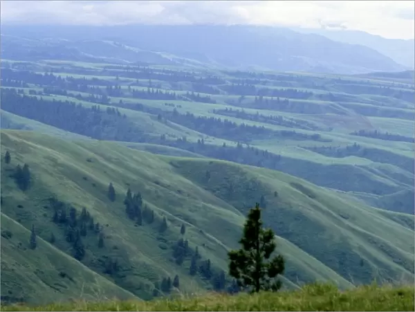 A view of White bird Hill in the Nez Perce National Historical Park. Palouse country in North Idaho