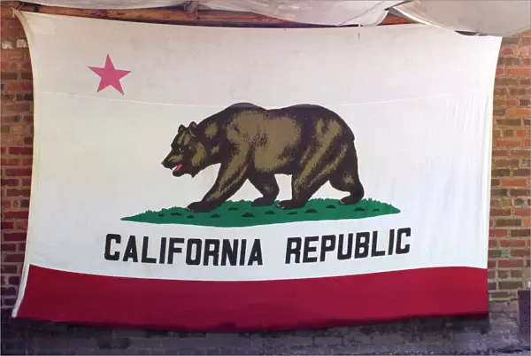 Bear Flag of the California Republic