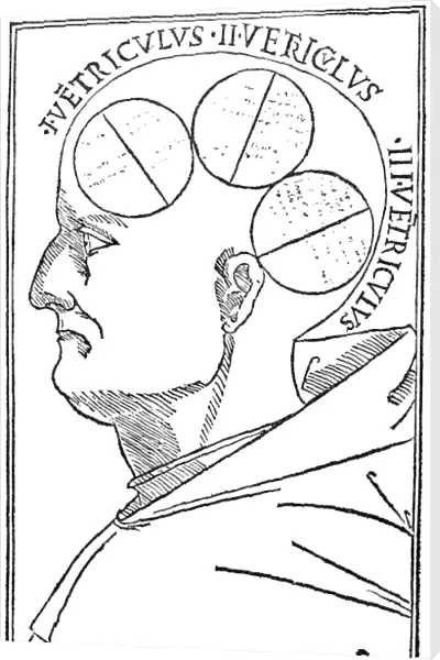 The ventricles of the brain as described by the 13th century German scholastic Albertus Magnus in his Philosophia naturalis, and illustrated in a late 15th century edition of that work