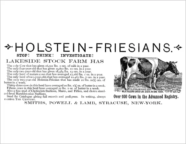AD: CATTLE, 1887. American magazine advertisement for Holstein-Friesian cattle from Smiths