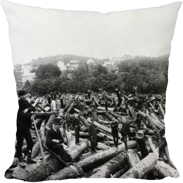 MINNESOTA: LUMBERING, 1884. A log jam on the St. Croix River at Taylor Falls, Minnesota