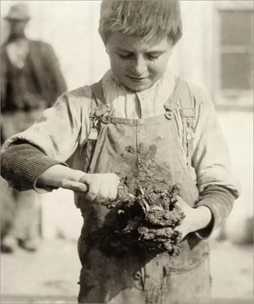 HINE: CHILD LABOR, 1913. A young oyster shucker at the Varn & Platt Canning Co