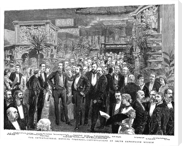 MEDICAL CONGRESS, 1881. The International Medical Congress at the South Kensington