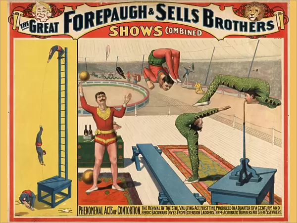 CIRCUS POSTER, 1899. The Adam Forepaugh and Sells Brothers Shows Combined - Phenomenal