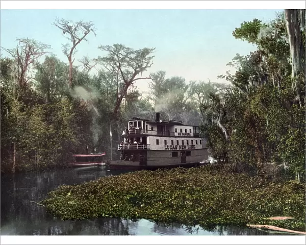 FLORIDA: STEAMBOAT, c1902. A passenger steamboat on Ocklawaha River, Floridia. Photochrome