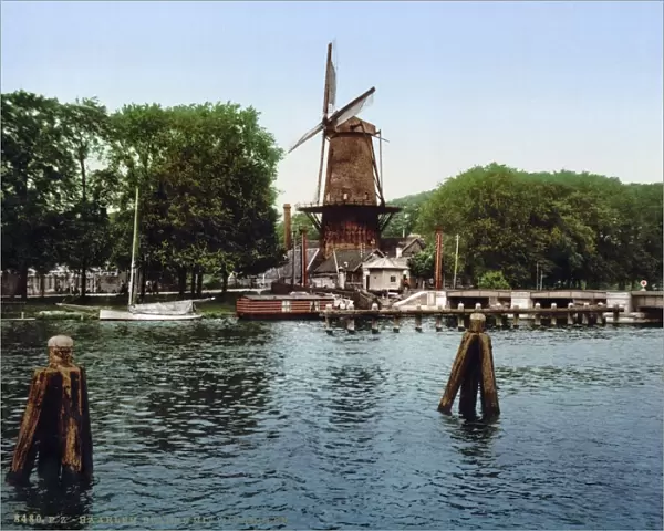 HOLLAND: WINDMILL. View of Spaarne and windmill in Haarlem, Holland. Photochrome print