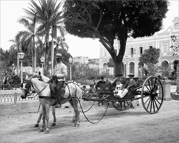HAVANA: CARRIAGE, c1904. Volante carriage in Havana, Cuba. Photograph, c1904