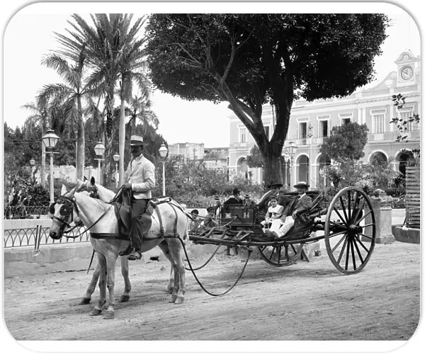 HAVANA: CARRIAGE, c1904. Volante carriage in Havana, Cuba. Photograph, c1904
