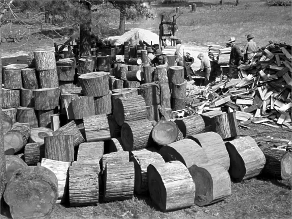 TEXAS: PAPER MILL, 1939. Lumberjacks sawing logs for pine shingles at a paper mill near Jefferson