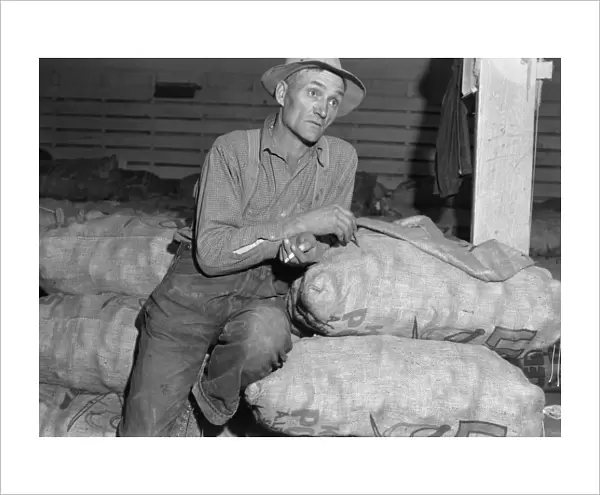 POTATO FARMER, 1939. A potato farmer leaning on burlap sacks of potatoes while