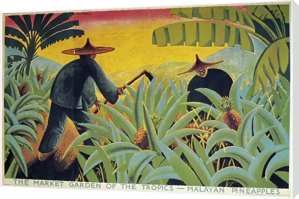 MALAYA: PLANTATION, 1931. The Market of the Garden Tropics - Malayan Pineapples. British Empire Marketing Board Poster, 1931