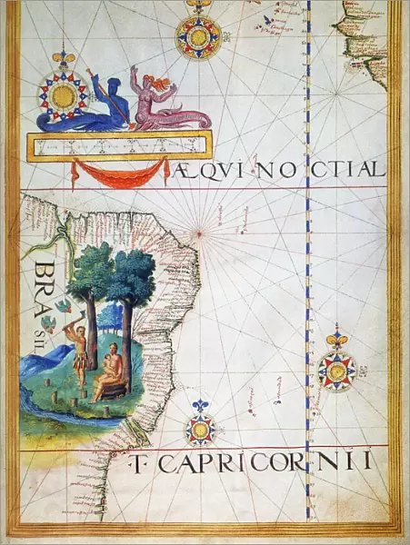 BRAZIL: MAP AND NATIVE INDIANS. Portuguese map of Brazil, 1565, depicting a family of native Indians, one of whom is harvesting brazilwood trees (probably Caesalpinia echinata